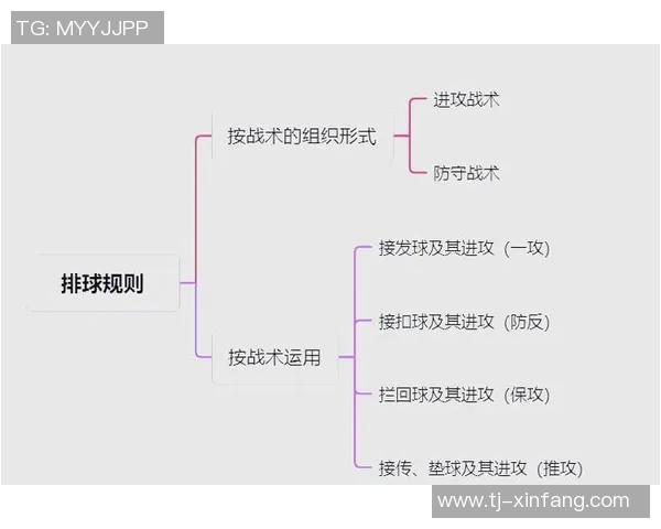 深圳排球队防守战术深度解析与实战应用探讨